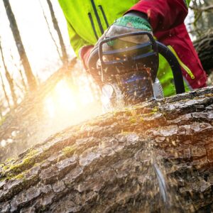 Chainsaw