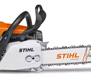 MS 311