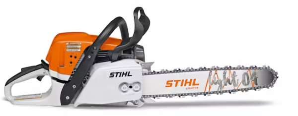 MS 311