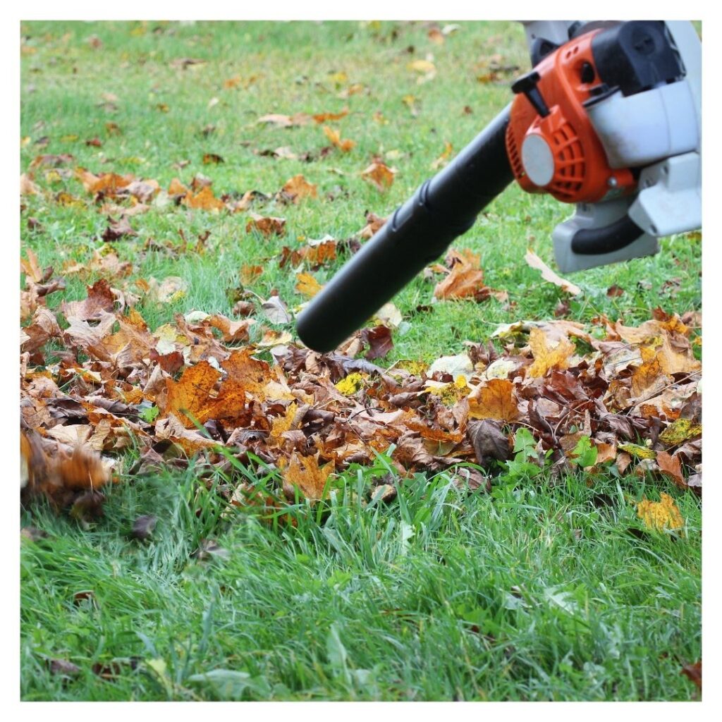 leaf blower