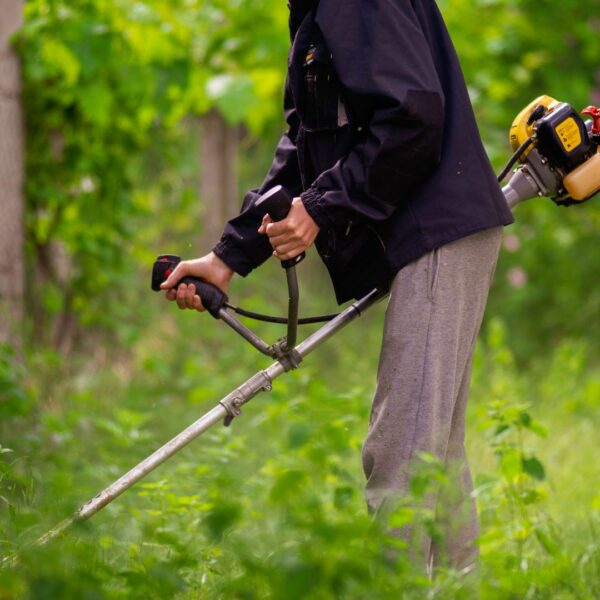 using power tools to cut down weeds